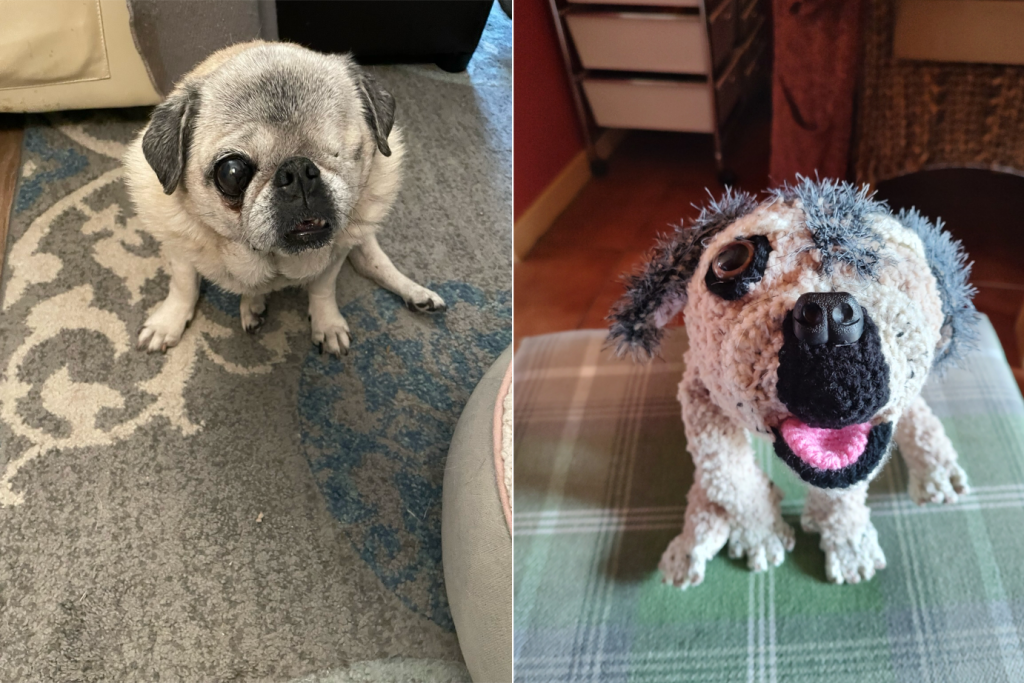 A photo of a pug with one eye (left facing camera) sitting on the floor. The pug has a tan colouring and a black snout and black ears. On the right is the crochet toy version of the pug sitting on a green tartan stool. It has it's mouth open and a pink tongue is visible.