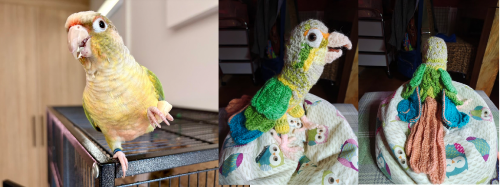 A pineapple conure on the far left, with its foot raised holding a cashew. Next to it on the right is a crochet toy version of the parrot showing the individual crochet green and tea; feathers that were used to create the wings. The head is given the mottled feather look using various different yarn colours. On the right again is the same toy facing forwards so that it's salmon coloured tail feathers and its green feathered back are mor visible. The mottling on the head can be seen clearly from this angle.